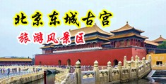 啊啊啊啊啊啊啊啊欧美艹死我中国北京-东城古宫旅游风景区